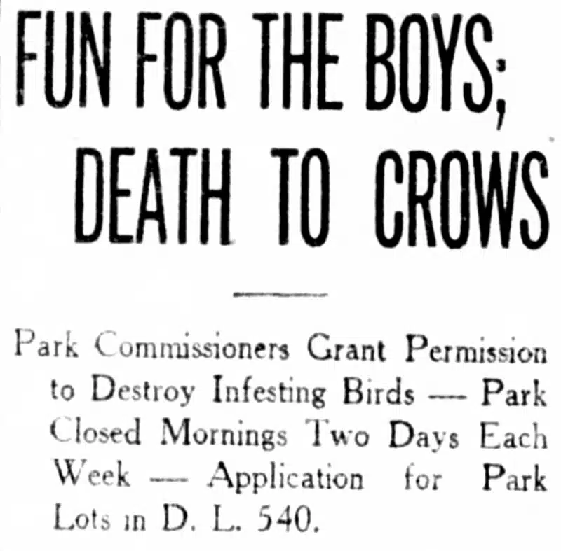 5 Secret Stories from Stanley Park 9 "Fun for the boys, death to the crows" headline from the Daily World, 10 March 1910.