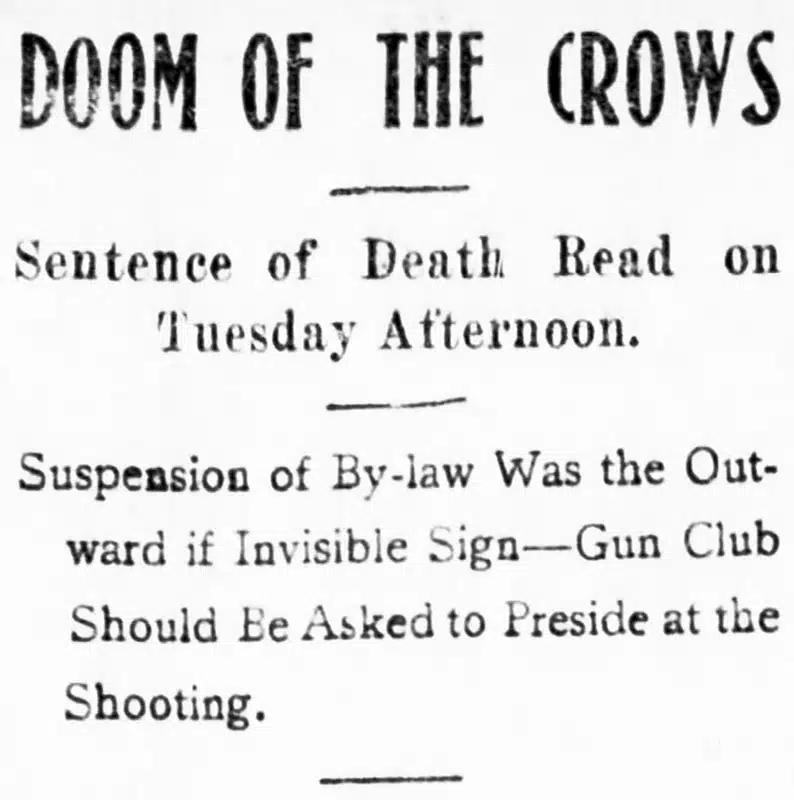 5 Secret Stories from Stanley Park 8 "Doom of the crows" headline from the Daily World, 28 August 1901.