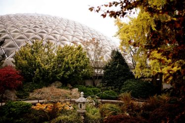 Best Vancouver Experiences for Senior Travellers 5 The Bloedel Conservatory photo by Joshua McVeity for Monte Cristo Magazine