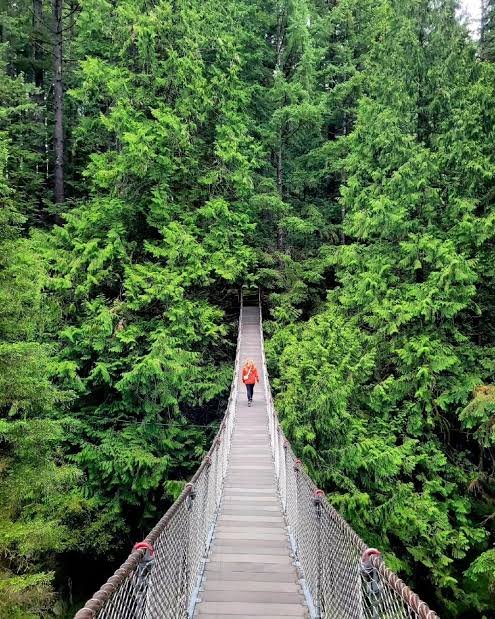 10 Actually Fun Things To Do In Vancouver for Young Adults 5 A photo of the Lynn Valley Suspension Bridge. A person in a red coat stands on a drawbridge. There are trees on either side of the bridge.