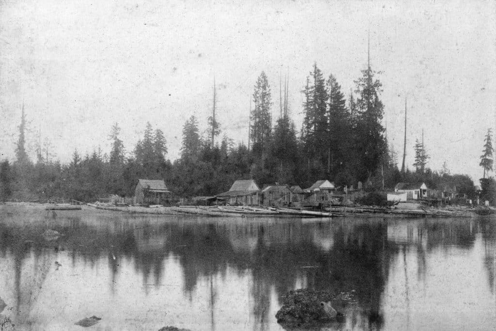 Top 5 Alternative Things to Do in Stanley Park 2 squatters on deadmans island