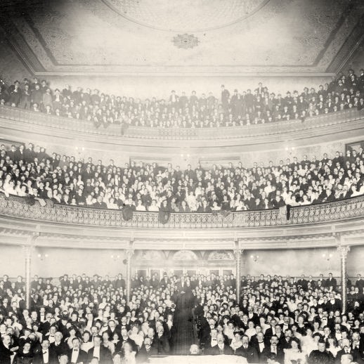 6.2 King Dodo 1903